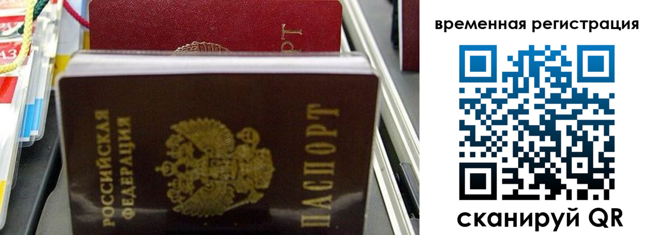 прописка законно в Бокситогорске